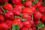 Zijn aardbeien gezond?
